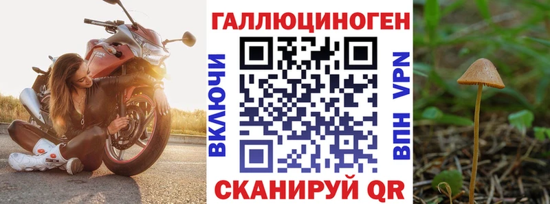 Купить закладки  Высоковск  Псилоцибиновые грибы Psilocybine cubensis 